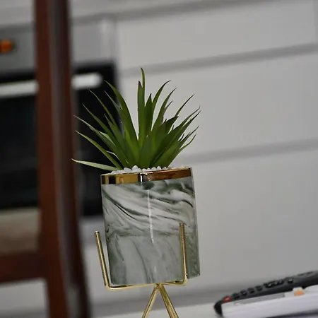 Lezha Apartments アパート Lezhë